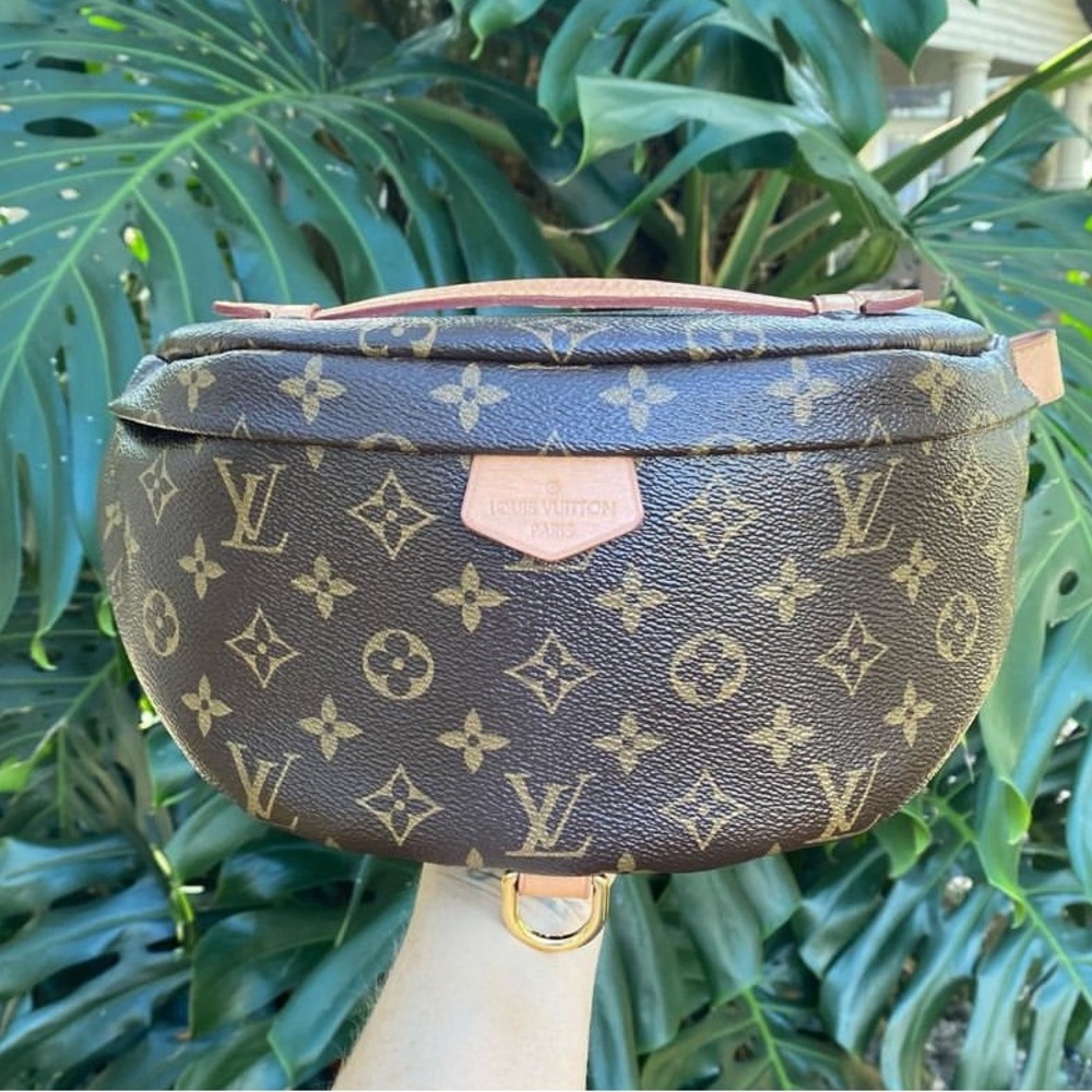 Louis Vuitton Bum Bag - Picture 5 of 7